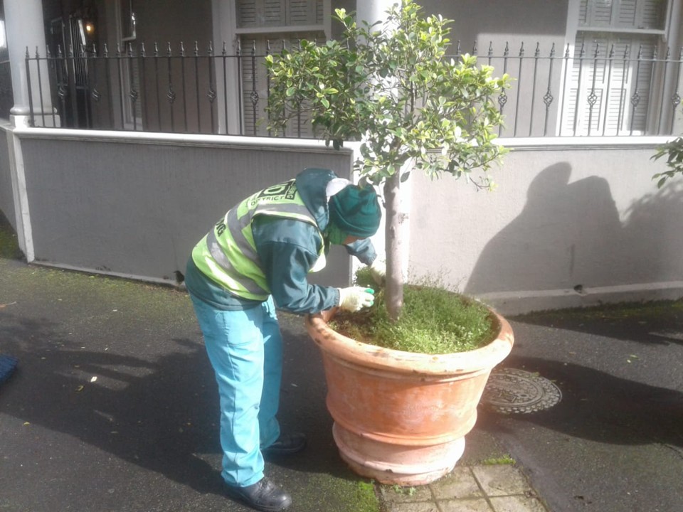 Wynberg cleaning