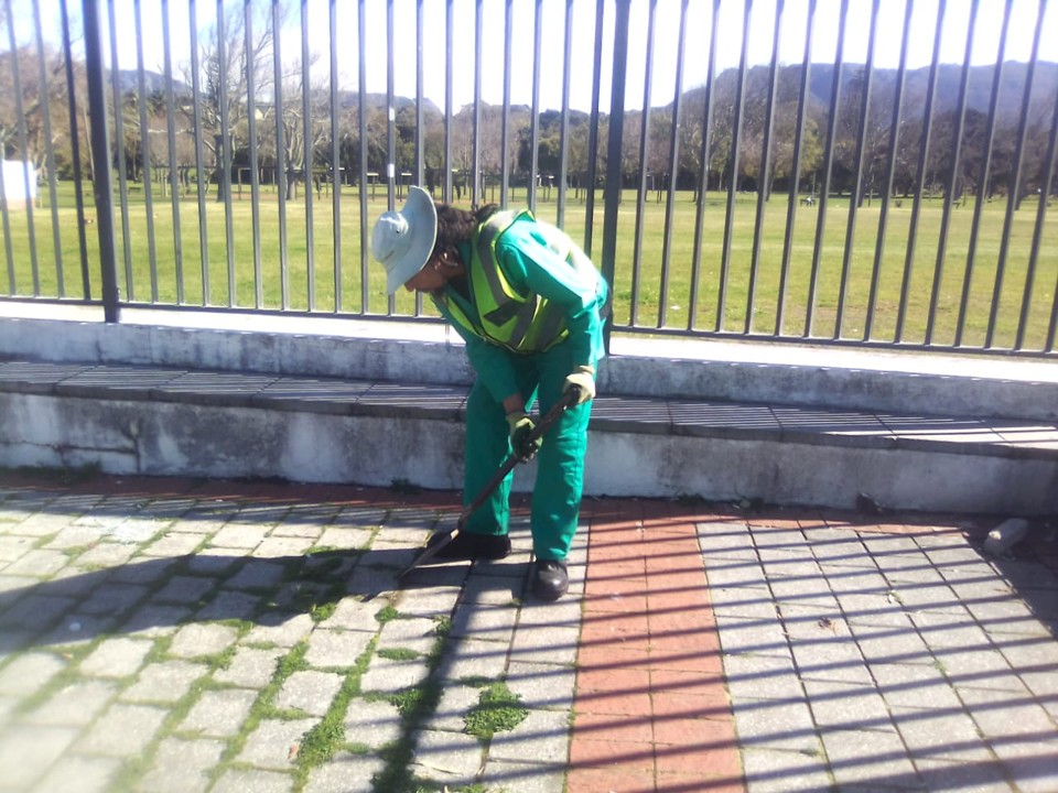 Wynberg cleaning